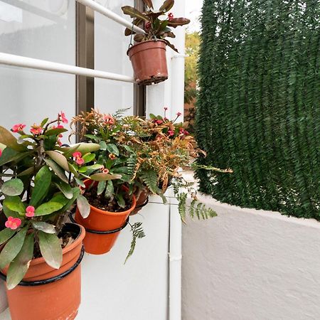 Little House In Center Apartment Almeria Exterior photo
