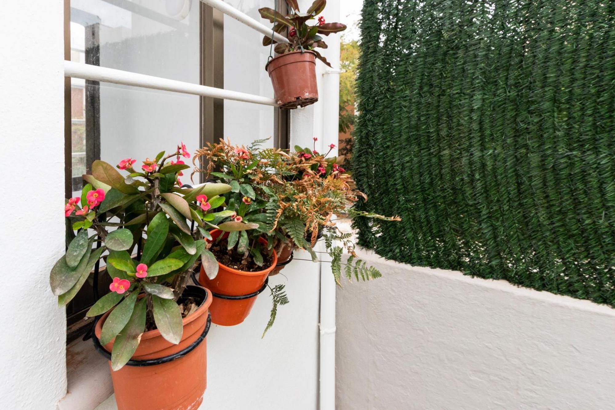 Little House In Center Apartment Almeria Exterior photo